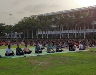 Yoga Day