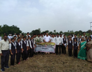 Tree Plantation