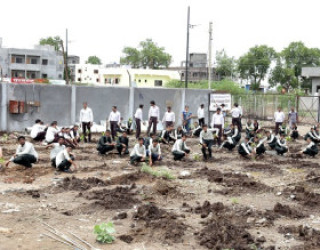Tree Plantation