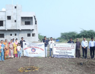 Tree Plantation