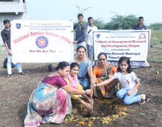 Tree Plantation
