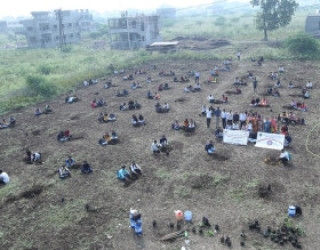 Tree Plantation